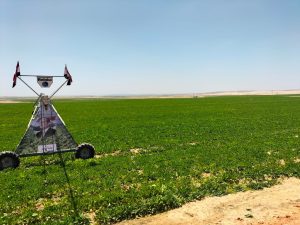 Up to 4.5m feddannes targeted for reclamation by 2027 13 - Egyptian Gazette