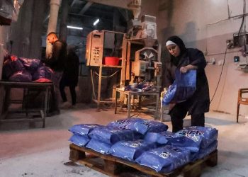 World Bank warns Palestinian Authority on brink of financial collapse