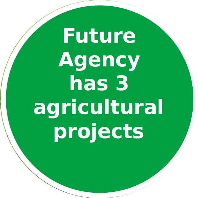 Up to 4.5m feddannes targeted for reclamation by 2027 7 - Egyptian Gazette