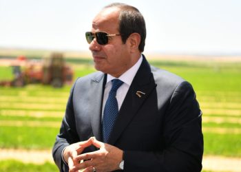 Up to 4.5m feddannes targeted for reclamation by 2027