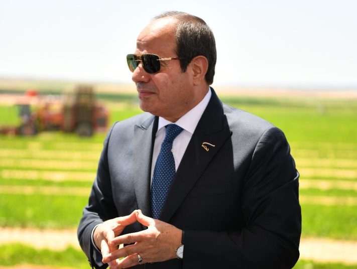 Up to 4.5m feddannes targeted for reclamation by 2027 1 - Egyptian Gazette