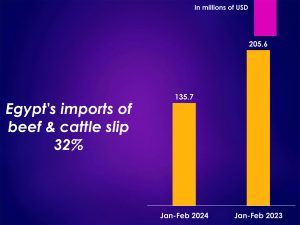 Why net foreign reserves matter 9 - Egyptian Gazette