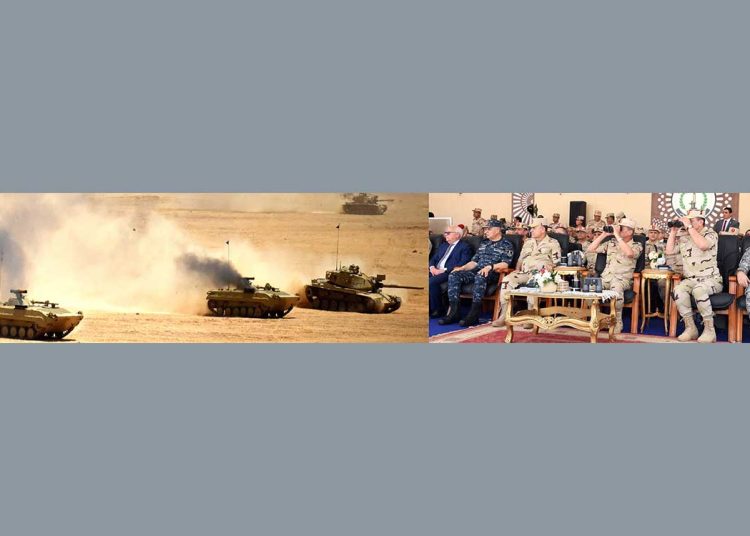 Defence min.: Armed Forces capable of confronting any challenges 1 - Egyptian Gazette