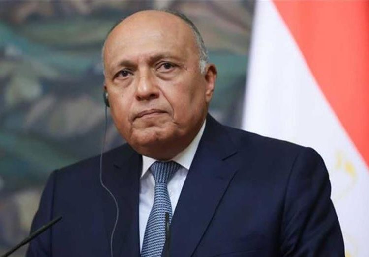 Egypt's Foreign Minister Sameh Shoukry