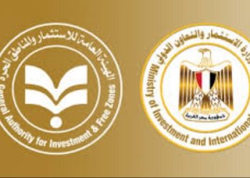 ‘Egypt ranks 1st in Africa, 2nd in Arab World in foreign direct investment flows’