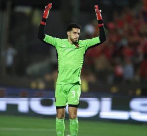 Delighted Al-Ahly fans celebrate African title 29 - Egyptian Gazette