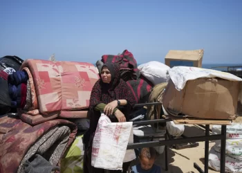 More than half a million people flee fighting in Rafah and northern Gaza, UN says