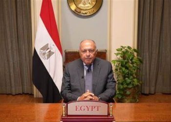 FM: Egypt keen on ending Gaza war
