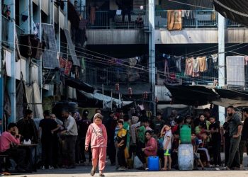 Austria to resume aid to UN agency for Palestinians