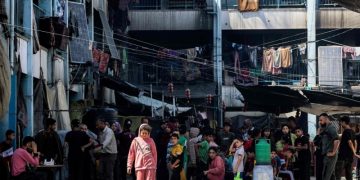 Austria to resume aid to UN agency for Palestinians