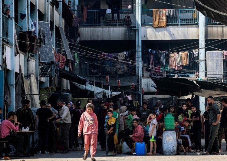 Austria to resume aid to UN agency for Palestinians 2 - Egyptian Gazette Austria to resume aid to UN agency for Palestinians 1 - Egyptian Gazette