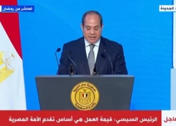 Sisi directs to allocate LE5bn for workers emergency fund