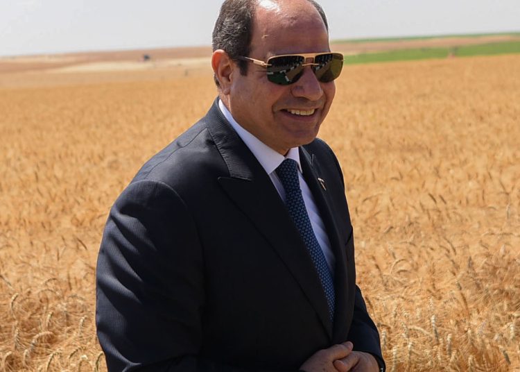 Sisi witnesses opening of harvest season of agricultural sectors as part of Future of Egypt project 2 - Egyptian Gazette Sisi witnesses opening of harvest season of agricultural sectors as part of Future of Egypt project 1 - Egyptian Gazette