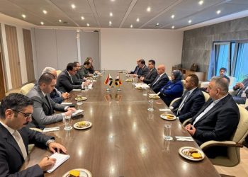 Egypt, Iraq discuss co-operation in drug export, registration