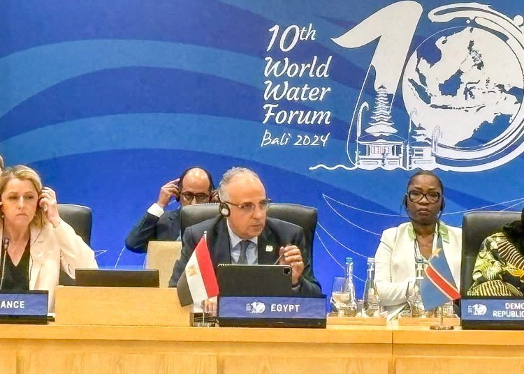 Egypt facing globally unique water scarcity, says minister 1 - Egyptian Gazette