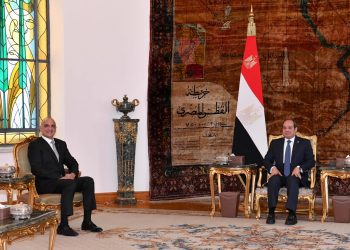Sisi, Jordanian PM discuss efforts to reach ceasefire in Gaza war
