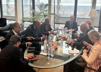 Shoukry, Borrell probe efforts to halt Israeli war in Gaza military operations