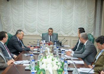 Military Production minister, CEO of Mayar Holding confer on joint co-operation