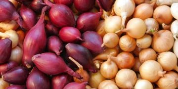 Onions, citrus topped list of exported vegetables, fruits