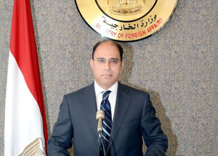 FM Spox highlights joint values for peace, prosperity on Africa Day 1 - Egyptian Gazette