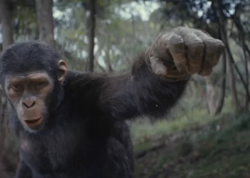 Movie Review: ‘Kingdom of the Planet of the Apes’ finds a new hero and will blow your mind