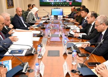 Trade min, S.Sinai governor review development in Abu Zeneima industrial zone