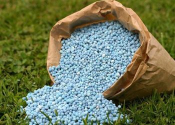 Report: Local fertiliser production to grow