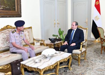 Sisi meets Defence minister