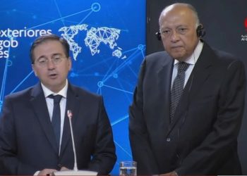 Shoukry praises Spain’s supportive stance on Palestinian cause especially after its recognition of Palestine