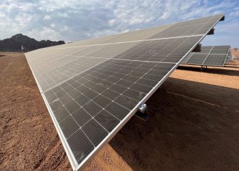 WB praises Egypt’s environmental legal framework