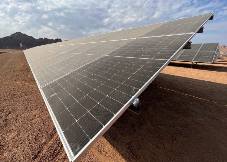 WB praises Egypt’s environmental legal framework 2 - Egyptian Gazette WB praises Egypt’s environmental legal framework 1 - Egyptian Gazette