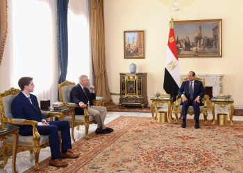 Sisi warns of danger of continuing Israeli military operations in Palestinian Rafah