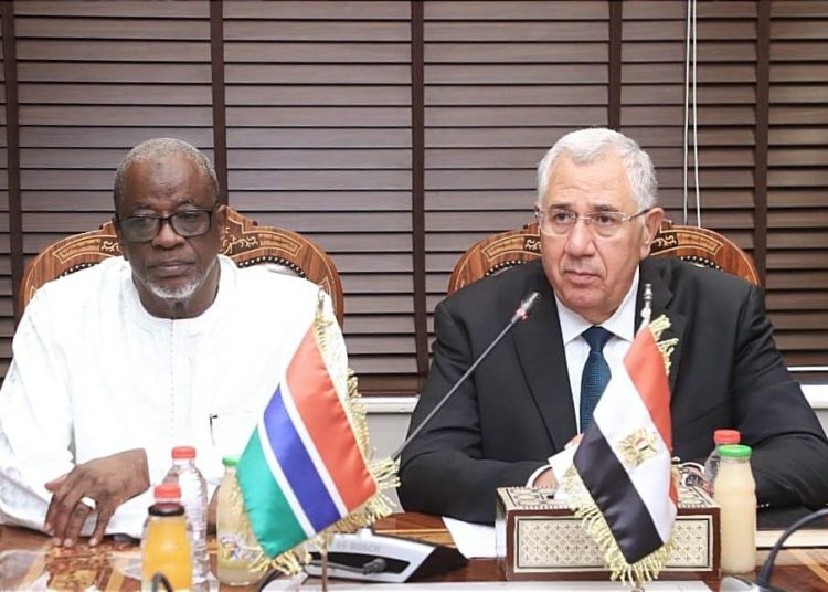 Egypt comes in 1st rank in fisheries in Africa: Agriculture min. 2 - Egyptian Gazette Egypt comes in 1st rank in fisheries in Africa: Agriculture min. 1 - Egyptian Gazette