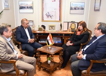 State succeeded in attracting int’l firms to Egyptian market: Emigration min.