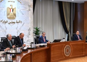 Egypt keen on enhancing cooperation with African states