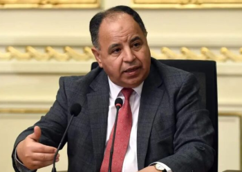 ‘Value of goods released from Egyptian ports amounted to $17b’