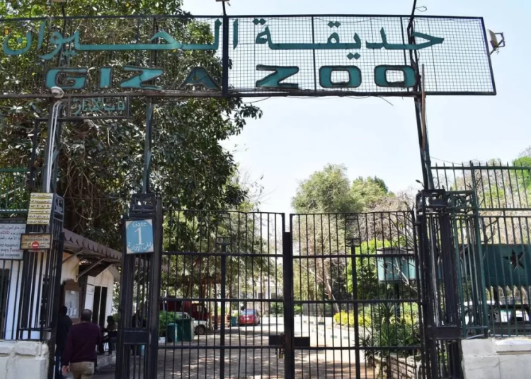 Agriculture Ministry denies reports on cutting down tress at Giza Zoo 1 - Egyptian Gazette