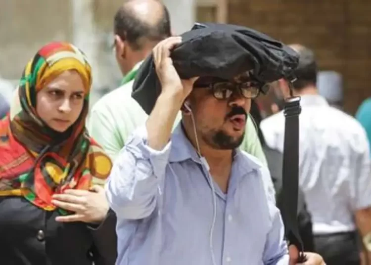 Heat wave sweeps over Egypt 1 - Egyptian Gazette