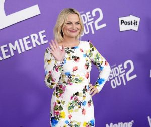 'Inside Out 2' posts smashing debut at N. American box office 2 - Egyptian Gazette