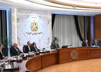 PM stresses imp. of settling industries of electronic chips, semiconductors