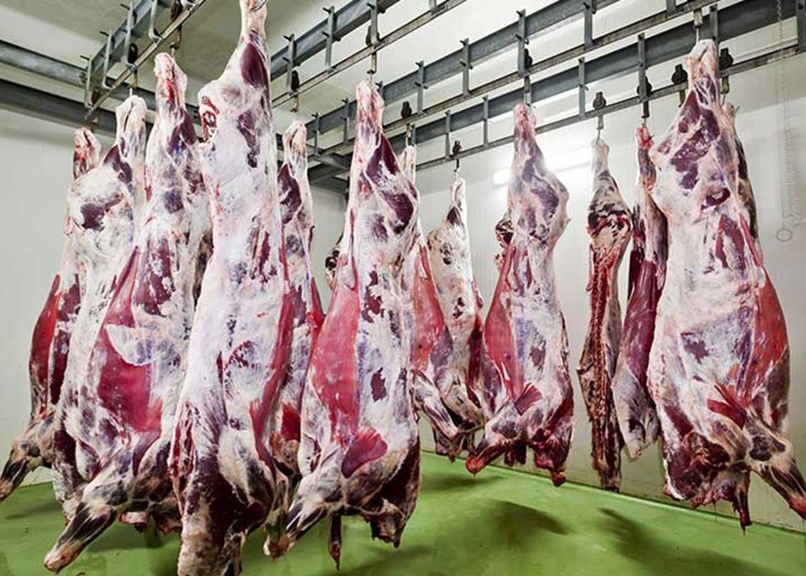 Meat, poultry pumped into markets with discounts of 20%: Supply min. 2 - Egyptian Gazette Meat, poultry pumped into markets with discounts of 20%: Supply min. 1 - Egyptian Gazette