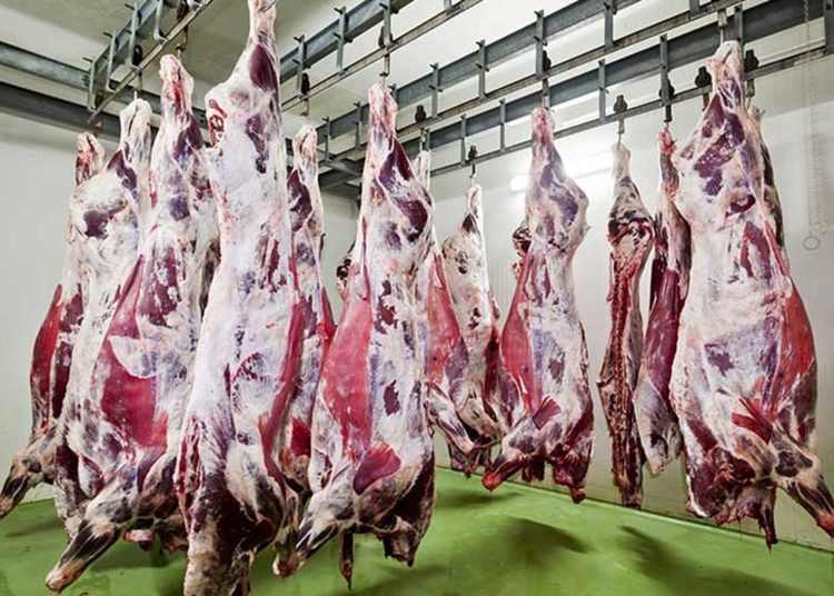 Meat, poultry pumped into markets with discounts of 20%: Supply min. 1 - Egyptian Gazette