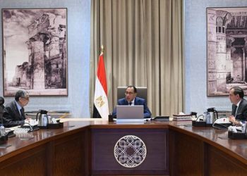 PM: Presidential directives to swiftly end electricity crisis