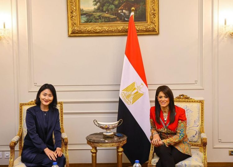 Egypt, CIDCA mull ways to enforce MoU on debt swap 1 - Egyptian Gazette