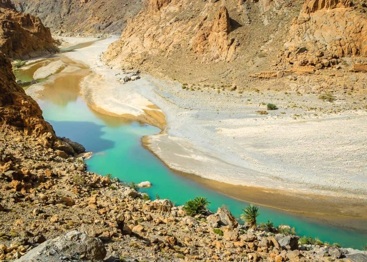 Siwa Oasis attracts visitors for traditional healing 1 - Egyptian Gazette