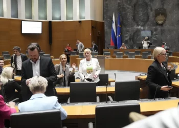 OIC welcomes Slovenia's recognition of Palestine 8 - Egyptian Gazette OIC welcomes Slovenia’s recognition of Palestine