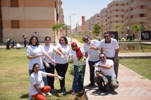 Orange Egypt launches extensive tree-planting campaign 5 - Egyptian Gazette