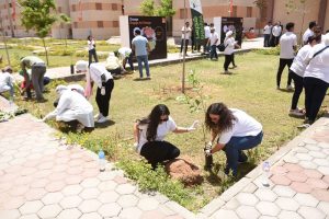 Orange Egypt launches extensive tree-planting campaign 3 - Egyptian Gazette