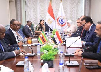 Egypt willing to provide health support for Africa