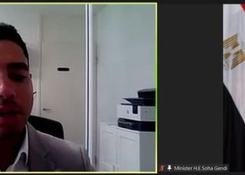 Gendi: Egyptian expats are partners in development